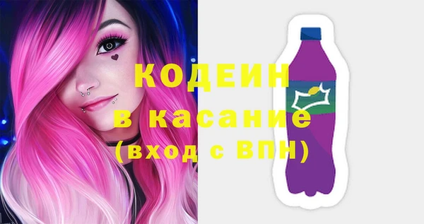 2c-b Бородино