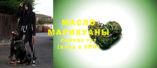 2c-b Бородино
