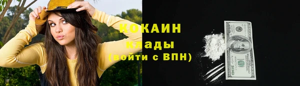 2c-b Бородино