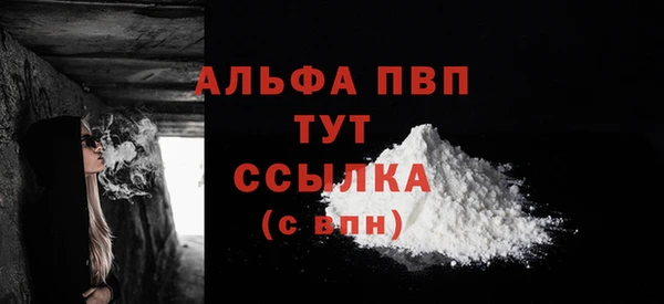 2c-b Бородино
