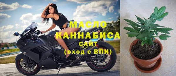 молекула духа Богданович