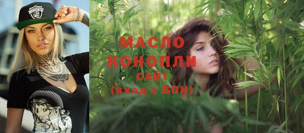 2c-b Бородино