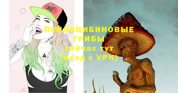 эйфоретик Бронницы