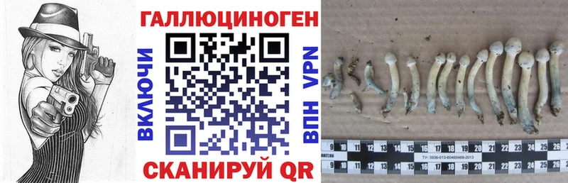 Псилоцибиновые грибы прущие грибы  Купить  Петровск 